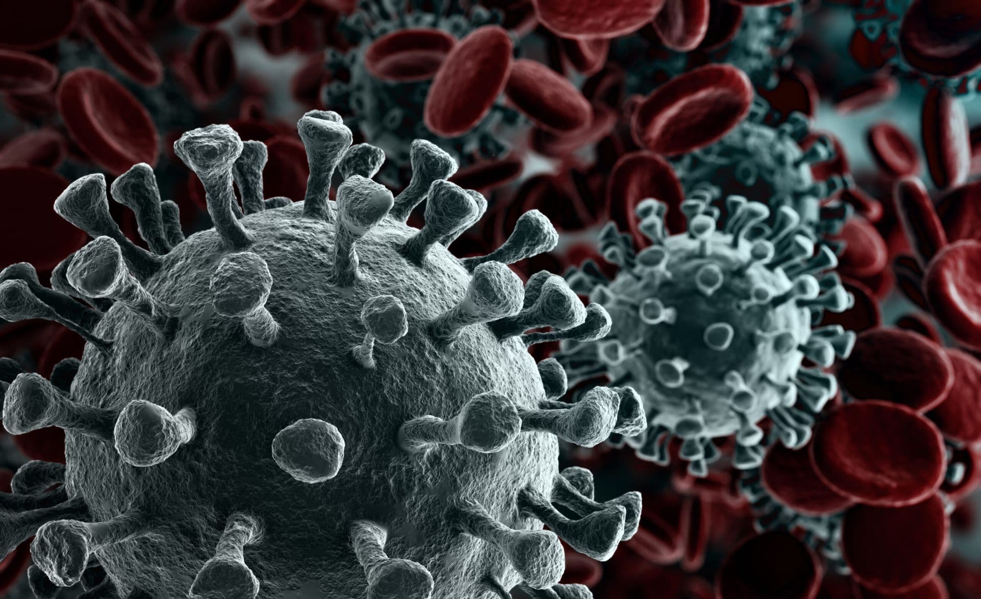 Long COVID: The Theory of Viral Persistence