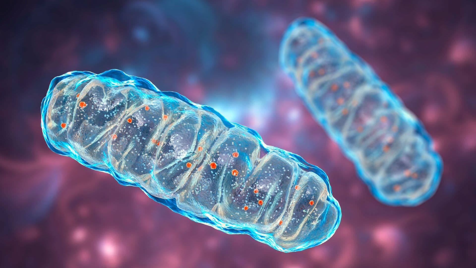 Mitochondrial Health: A Key to Combat Long COVID